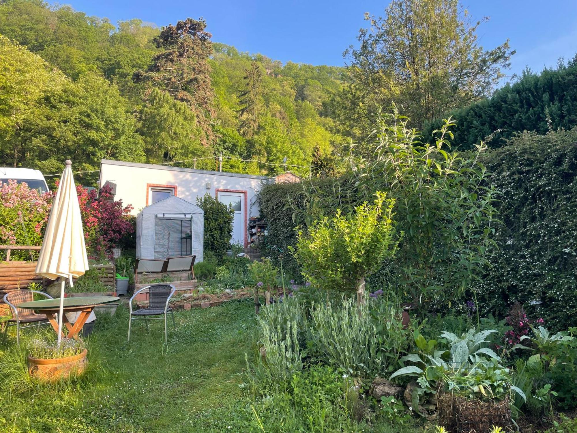 Blick Ins Gruene, Nah Am Zentrum Trèves Extérieur photo