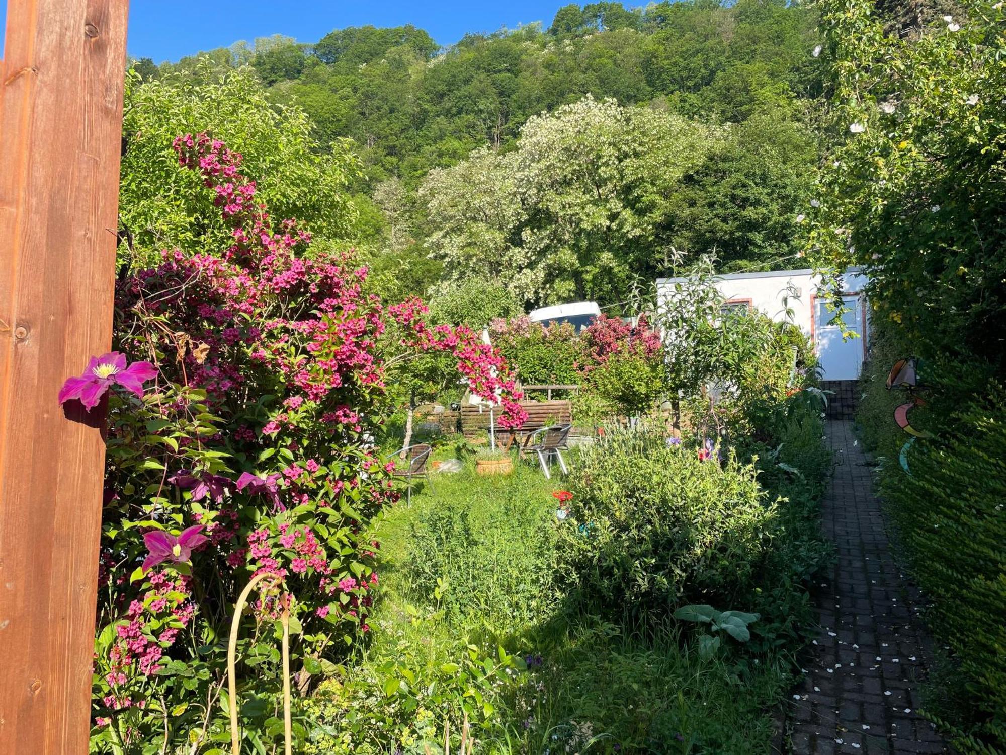 Blick Ins Gruene, Nah Am Zentrum Trèves Extérieur photo