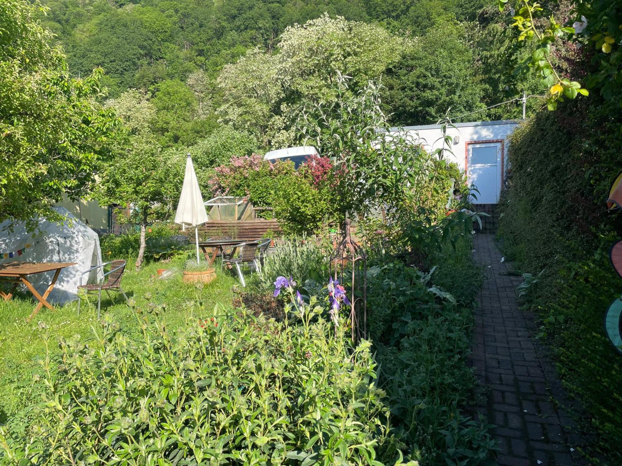 Blick Ins Gruene, Nah Am Zentrum Trèves Extérieur photo